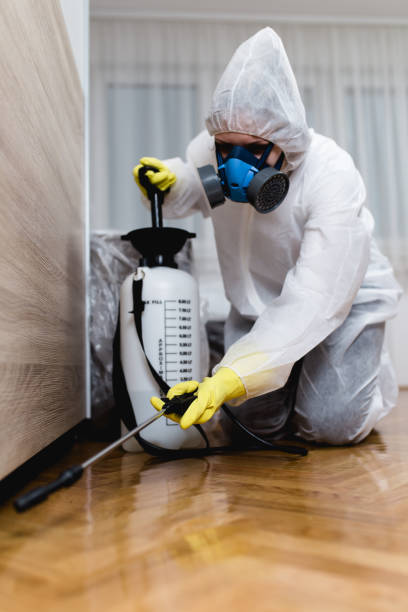 Best Pest Exclusion Services  in Boerne, TX